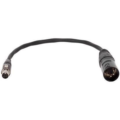 Picture of Wooden Camera - Mini 4pin XLR Female to Full 4pin XLR Male
