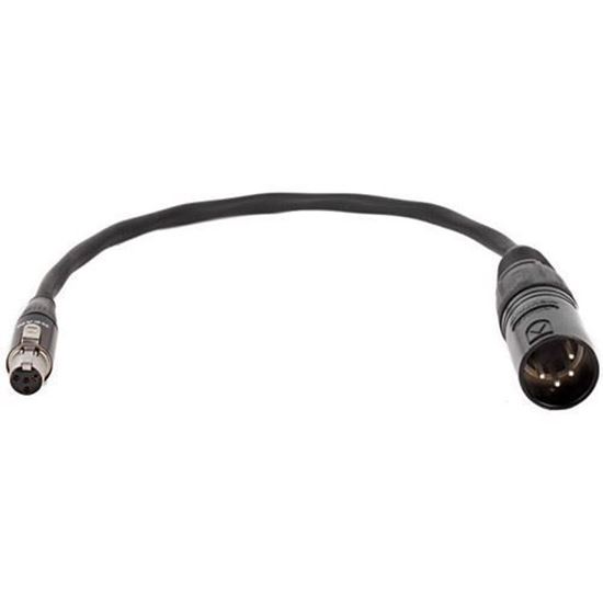 Picture of Wooden Camera - Mini 4pin XLR Female to Full 4pin XLR Male