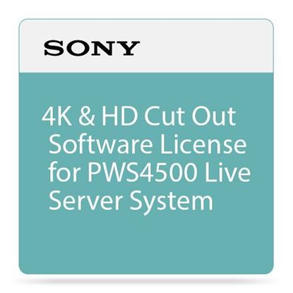 Picture of Sony 4K/HD Cutout Software
