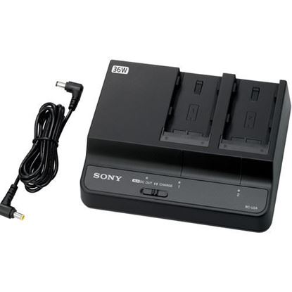 Picture of Sony Battery  Charger