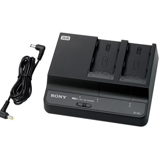 Picture of Sony Battery  Charger