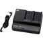 Picture of Sony Battery  Charger