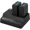 Picture of Sony Battery  Charger