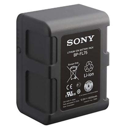Picture of Sony Battery Pack