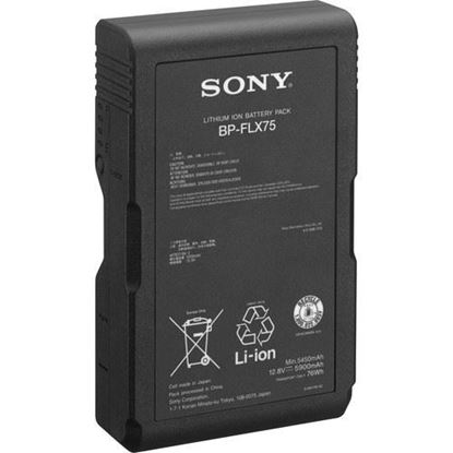 Picture of Sony BATTERY PACK