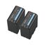 Picture of Sony Battery Pack 2PAC