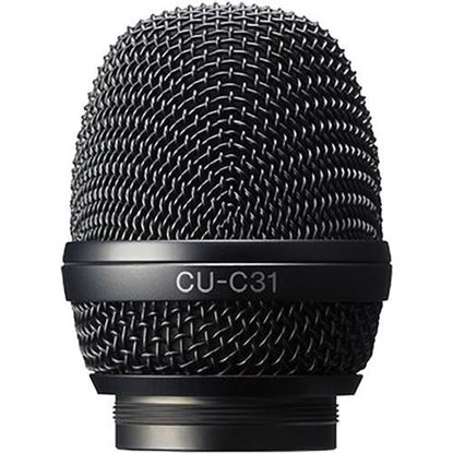 Picture of Sony Capsule unit