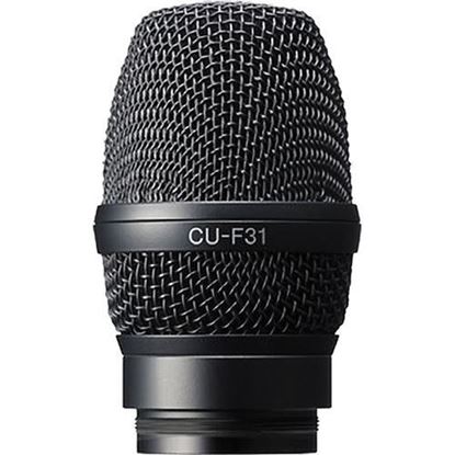 Picture of Sony Capsule unit