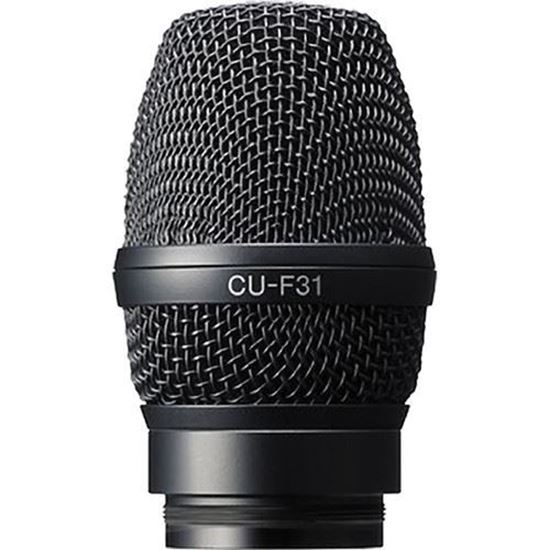 Picture of Sony Capsule unit