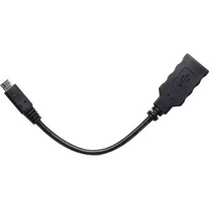 Picture of Amimon OTG USB Type-A Female to Micro-USB Male Cable for CONNEX / CONNEX Mini (5.9")