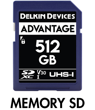 Picture for category SD Memory Cards